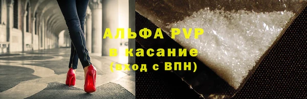 твердый Бородино