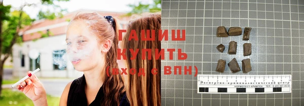 твердый Бородино