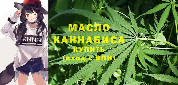 твердый Бородино