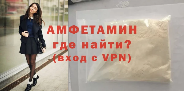 твердый Бородино