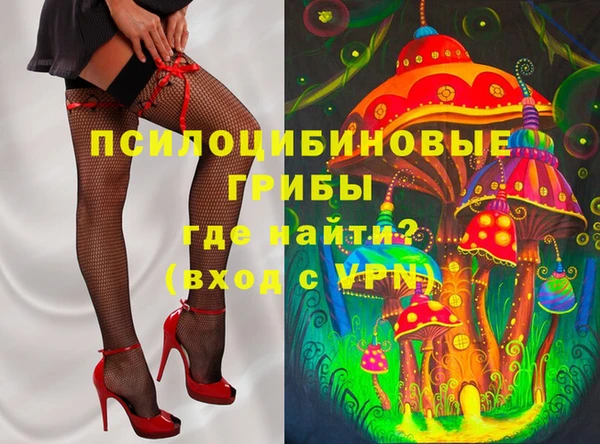 твердый Бородино