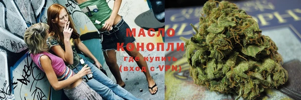 твердый Бородино