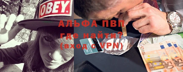 твердый Бородино