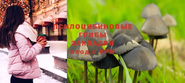 твердый Бородино