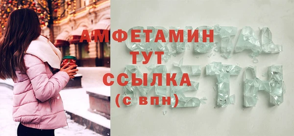 твердый Бородино