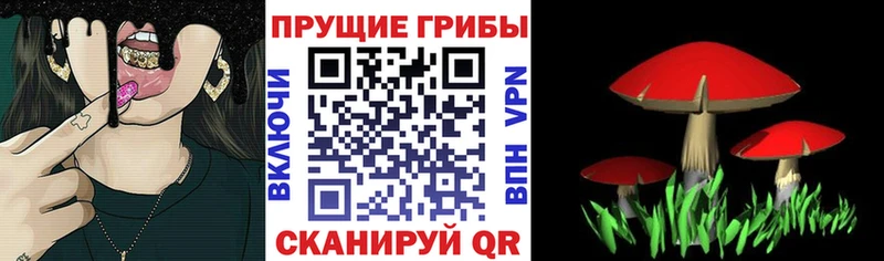 Галлюциногенные грибы мицелий  Королёв 